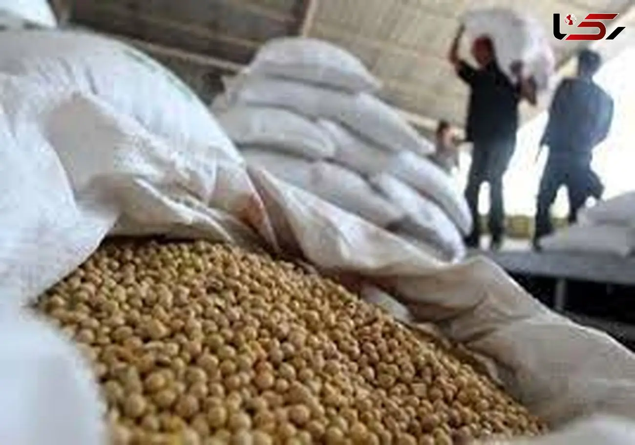 کشف 48 تن سویای قاچاق در دورود