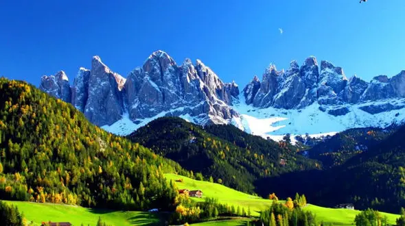 رویای خودتان را بسازید، وگرنه کسی شما را استخدام می کند تا رویای او را بسازید