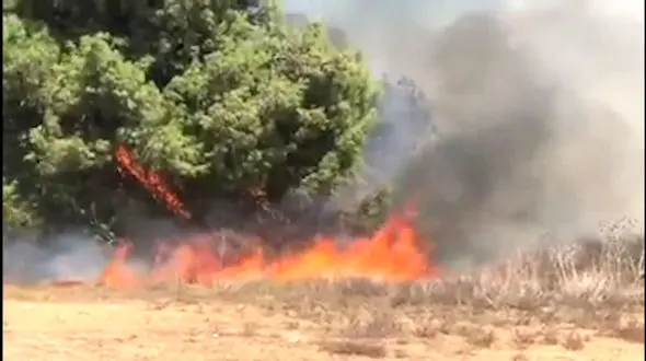 آتش‌سوزی در سرزمین‌های اشغالی + فیلم و جزئیات 