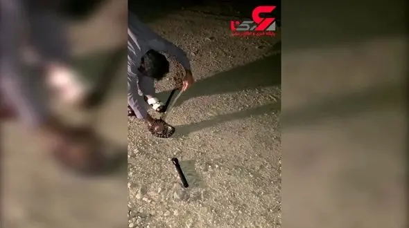 سیستان و بلوچستان همزمان درگیر بی آبی و مهمان ناخوانده /کرکره آموزش جوامع محلی در  سازمان محیط زیست پایین است