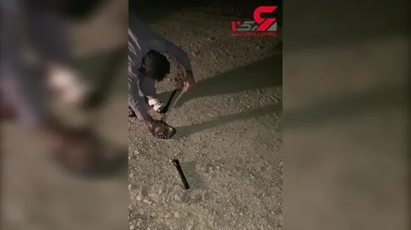 سیستان و بلوچستان همزمان درگیر بی آبی و مهمان ناخوانده /کرکره آموزش جوامع محلی در  سازمان محیط زیست پایین است
