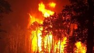 آتش سوزی در جنگل های ساحل گهرباران مازندران + فیلم
