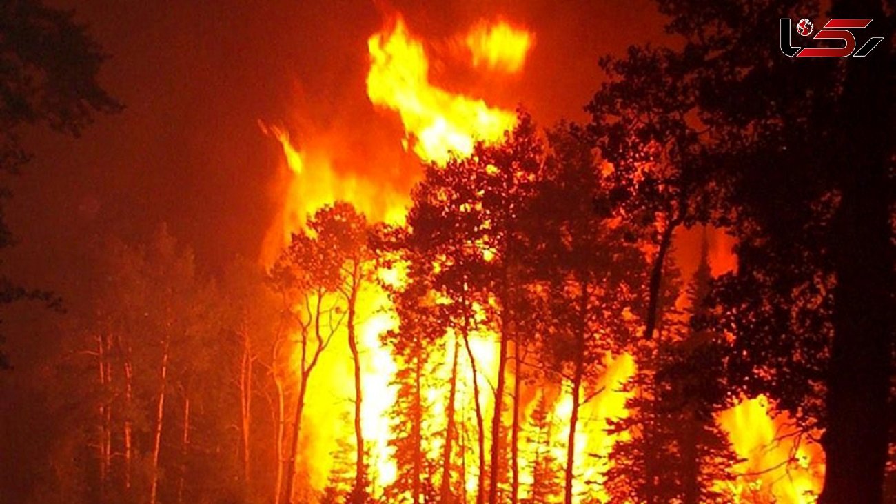 آتش سوزی در جنگل های ساحل گهرباران مازندران + فیلم