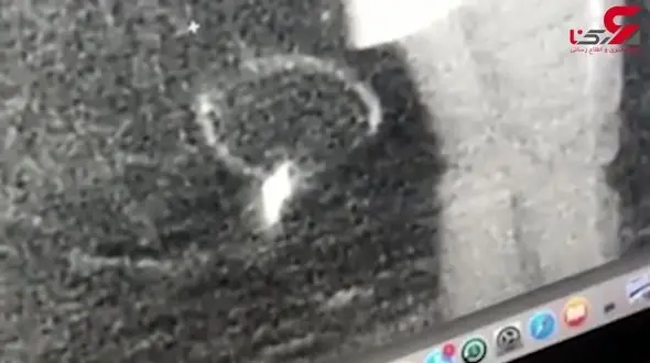 اتفاق باورنکردنی / این دو شاهد در جنگل جن دیدند؟ + فیلم 