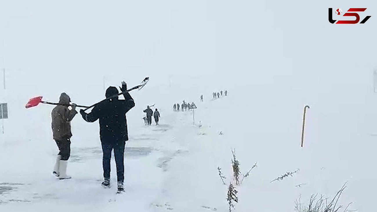 هشدار؛ روستای خاتون آباد میانه زیر برف دفن شد! +فیلم