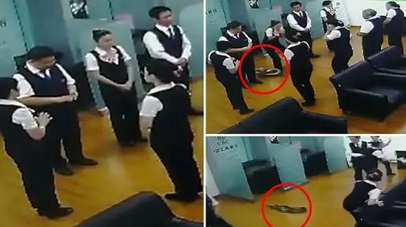 وحشت از یک مار خطرناک در ساختمان بانک + عکس
