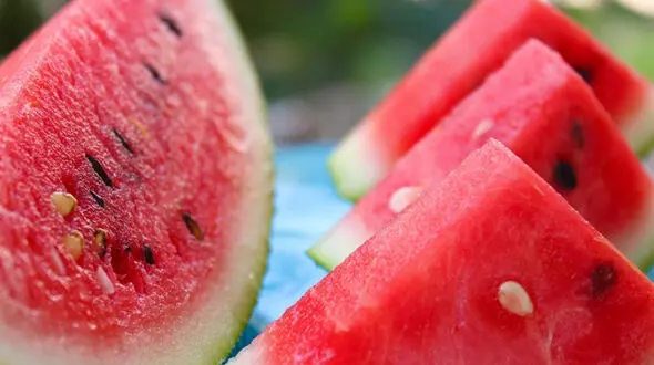 سوالات رایج درباره هندوانه 