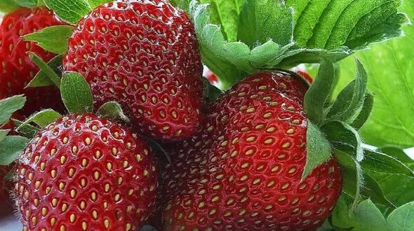 فال و طالع بینی روزانه 10 اردیبهشت + فیلم 