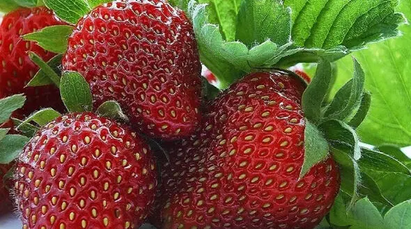 فال و طالع بینی روزانه 10 اردیبهشت + فیلم 