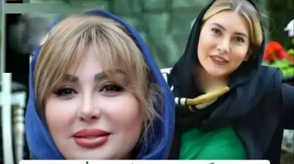 عکس /  نیوشا ضیغمی  فریبا نادری را تحقیر کرد .../  نو کیسه ای.../ روی خر پالون طلا هم بذاری باز خره .../ متر و مقیاس تو فقط پوله ... / یه تار موی گندیده ....