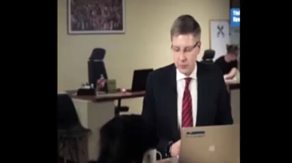 فیلم لحظه ورود گربه به برنامه زنده شهردار