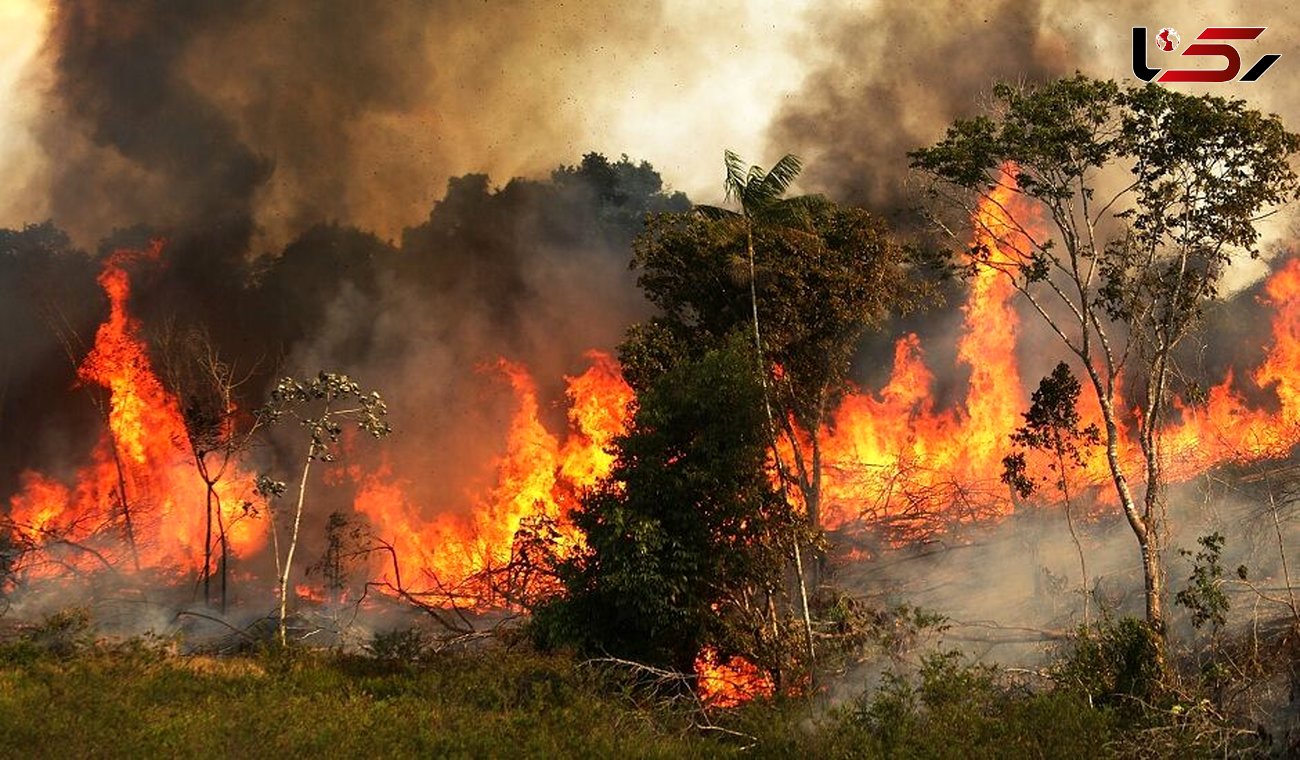 آتش‌سوزی در منطقه حفاظت شده کوه گزیر ایذه