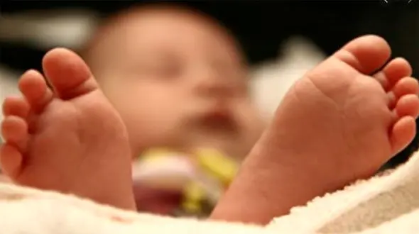 عکس تلخ / سگ ولگرد نوزادی را از بیمارستان دزدید و خورد