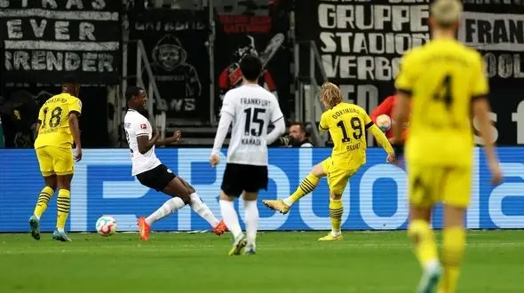 فرانکفورت در خانه توسط زنبورها شکار شدند