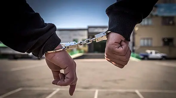 فررای 30 میلیاردی به ایران بازگردانده شد