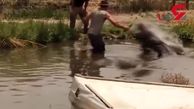 صحنه وحشتناک ترین حمله تمساح به یک مرد! + فیلم