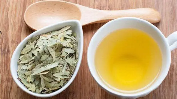 گیاهی که 10 دقیقه ای لاغرتان می کند