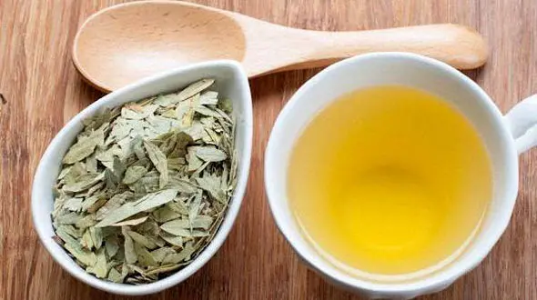 گیاهی که 10 دقیقه ای لاغرتان می کند