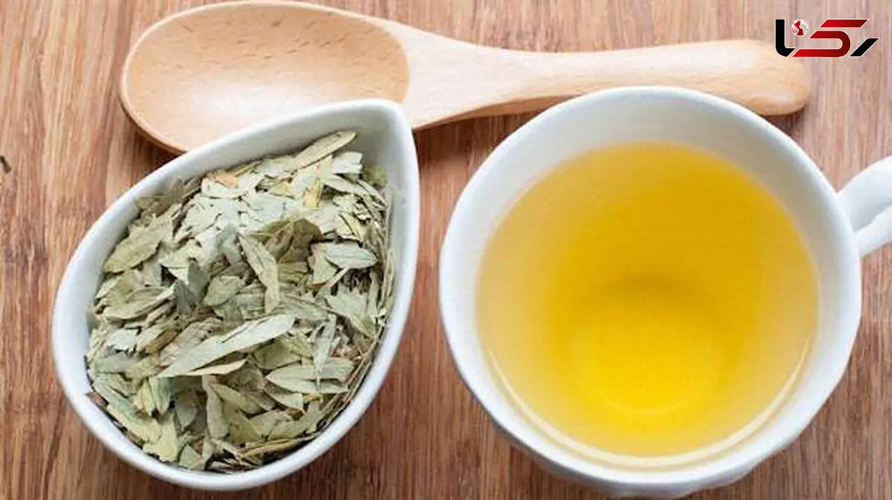 گیاهی که 10 دقیقه ای لاغرتان می کند