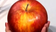 این سیب را نمی توان خورد + فیلم 