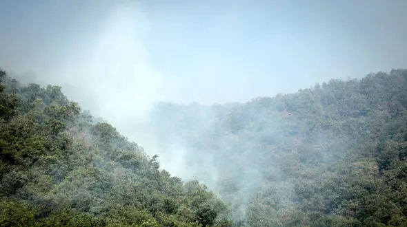 جنگل ها و مراتع منطقه حفاظت شده دیل در گچساران طعمه حریق شد