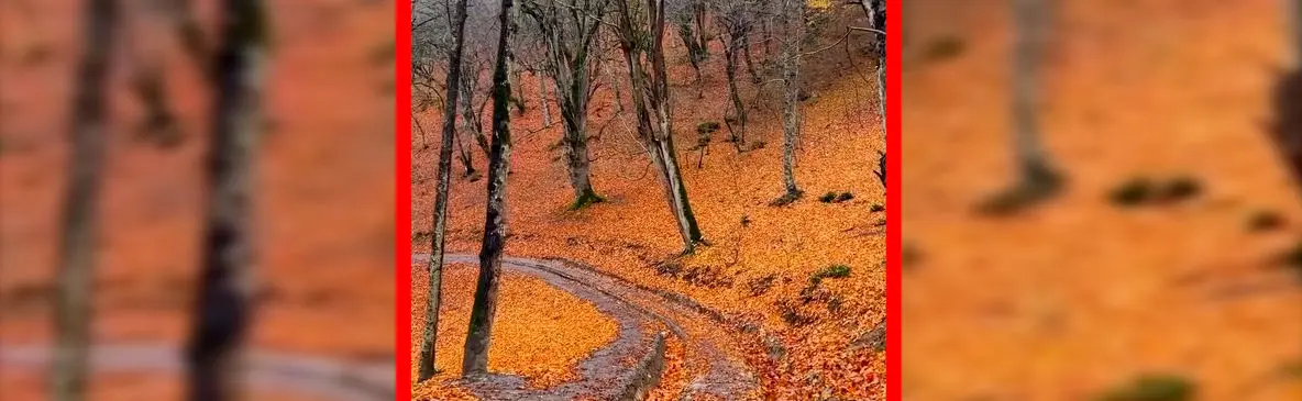 فیلم مناظر پاییزی روستای چورت ساری