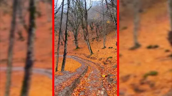 فیلم مناظر پاییزی روستای چورت ساری