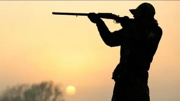 کشف لاشه دو راس قوچ و میش وحشی در شیروان
