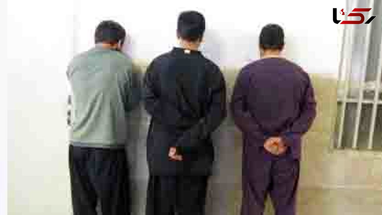 3 سارق در زنجان دستگیر شدند