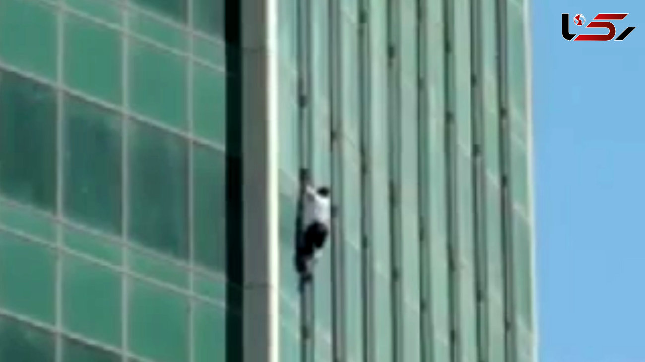 سرنوش شوم مرد عنکبوتی پس از فتح برج 300 متری! + فیلم دلهره آور را ببینید