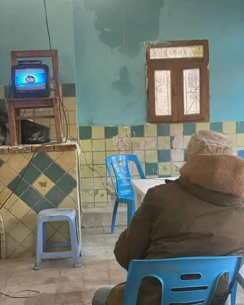 شقایق دهقان