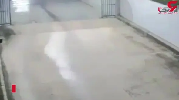 خسارتی که گریبان‌ راننده عجول را گرفت + فیلم