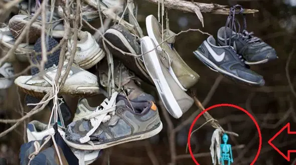 حادثه ای عجیب برای عکاس ماجراجو در جنگلی دورافتاده! +تصاویر 