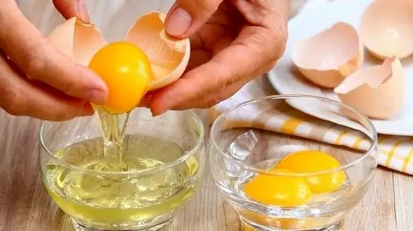 زرده تخم مرغ راه خلاص شدن از شپش موی سر 