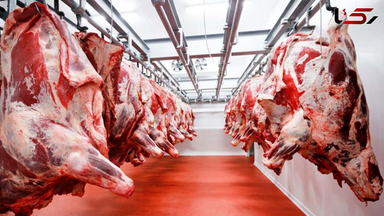 توزیع روزانه 200 تن گوشت گرم گوسفندی و گوساله در بازار پایتخت