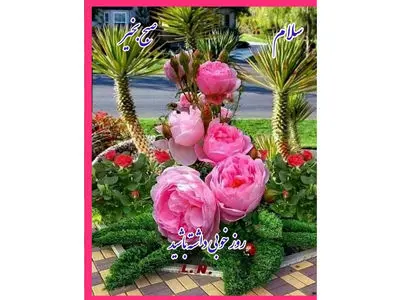 فال ابجد محشر 11 آذر