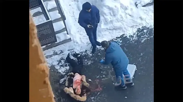 ببینید/ خودکشی وحشتناک دختر روسی از طبقه پنجم یک آپارتمان + فیلم 