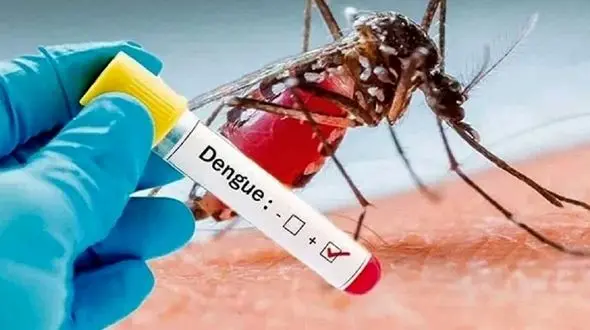 تاکنون مورد ابتلا به تب دنگی در لرستان مشاهده نشده است