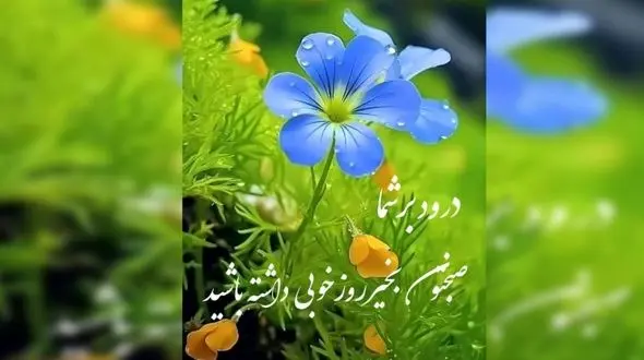 فال ابجد اول اردیبهشت + فیلم