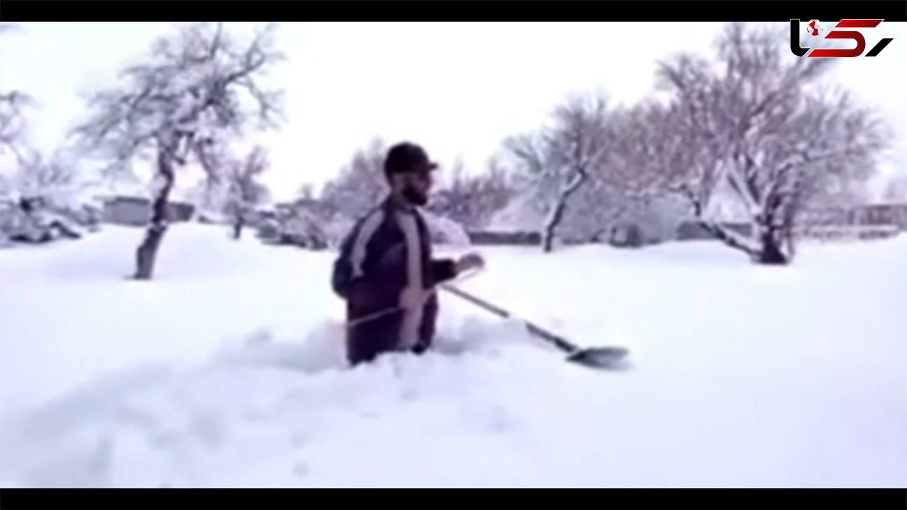 فیلم برف بیش از یک متری در لرستان / منظره بینظیر این روزها