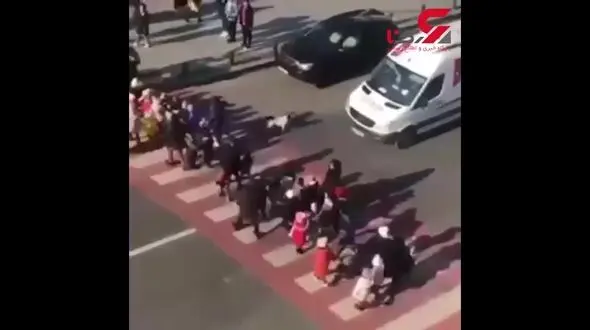 فیلمی جالب از سگی که پلیس مدرسه شد! +فیلم