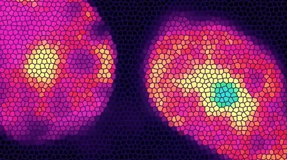 چگونه با نیکوتین سلول های چربی می سوزند؟