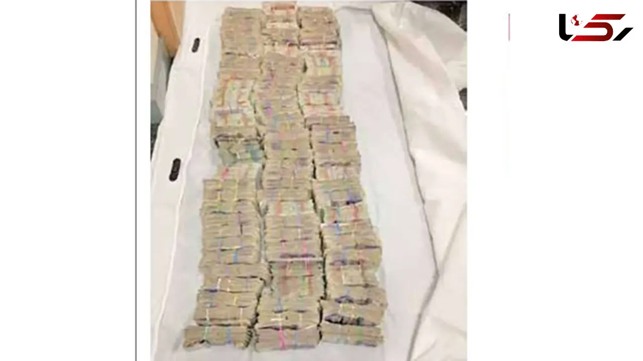 شوکه شدن ماموران پلیس بعد از باز کردن در خودروی ون+ عکس