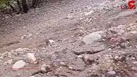 سقوط خودروی وانت بار پیکان در محور یاسوج - اصفهان + فیلم