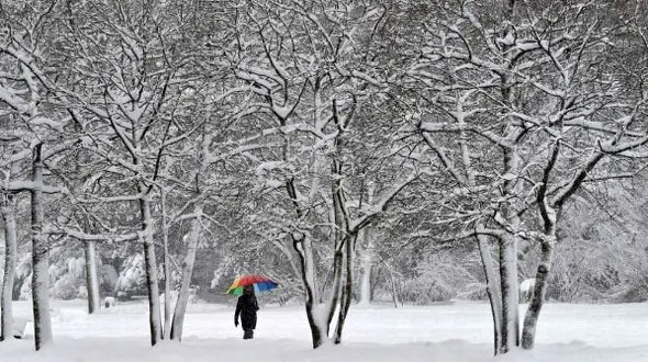 غافلگیری مردم ولایت با بارش برف / شهر سفید پوش شد