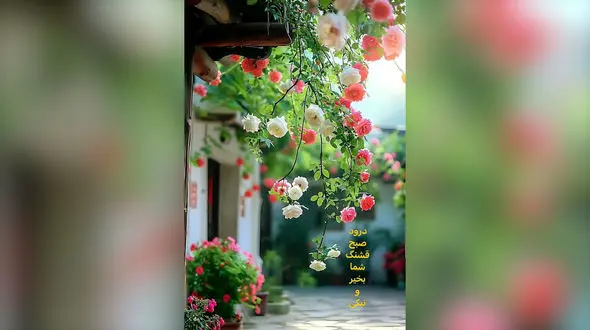 فال ابجد 21 اردیبهشت + فیلم