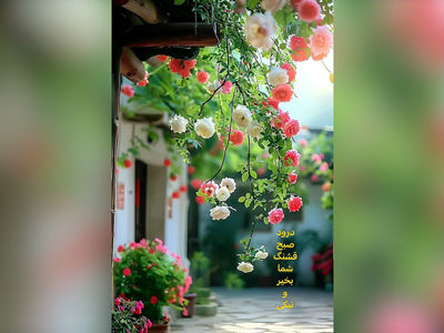 فال ابجد 21 اردیبهشت + فیلم