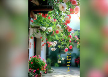 فال ابجد 21 اردیبهشت + فیلم