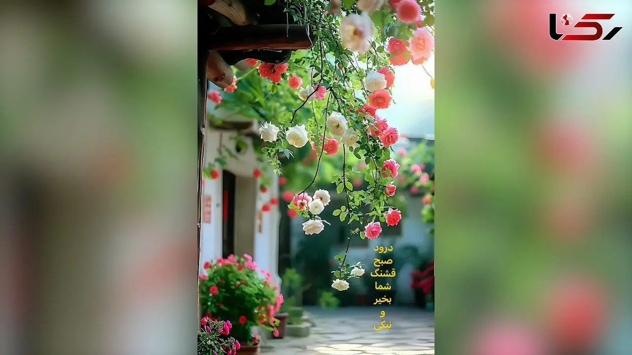 فال ابجد 21 اردیبهشت + فیلم