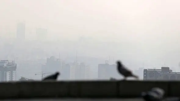 مرد نجار: تورم و گرانی عشق را از خانه ام ربود / بعد از 40 سال کار کردن، هیچی ندارم + فیلم